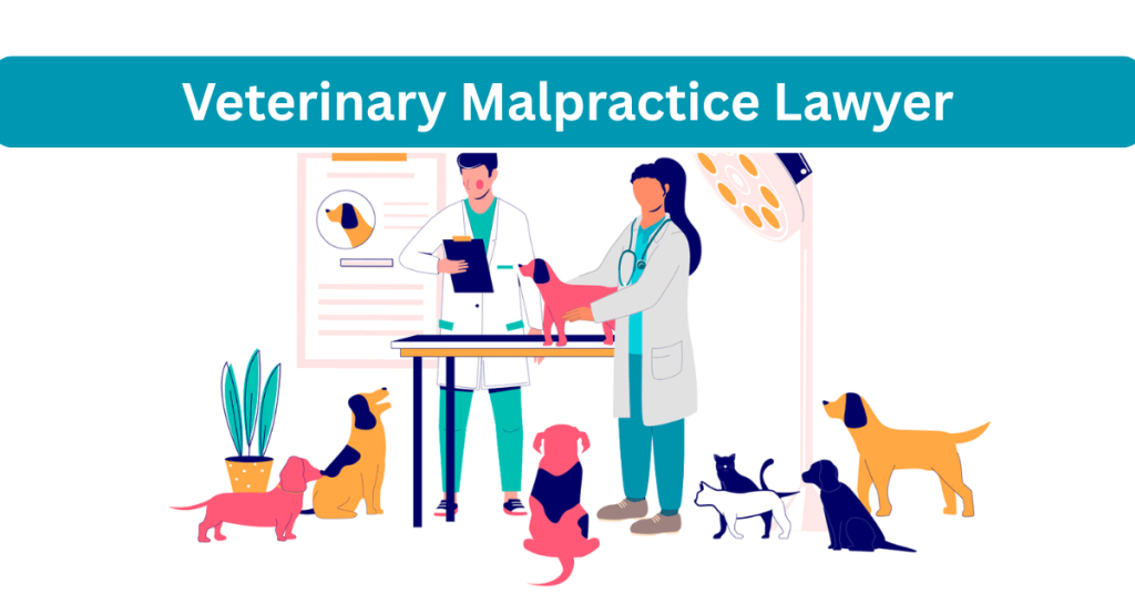 veterinary malpractice lawyer